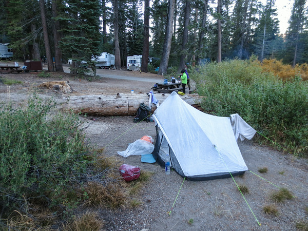 Red's Backpackers campground - Cheek-to-jowl by the car campers.