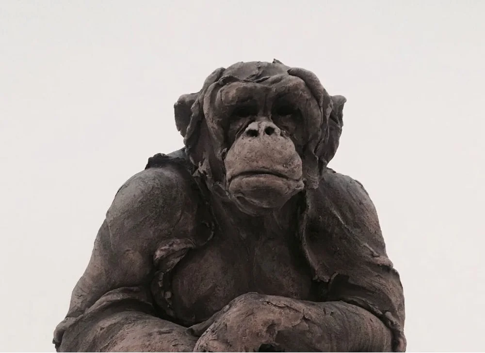 WhatsApp Image 2018-05-28 at 06.05.28(2).jpeg