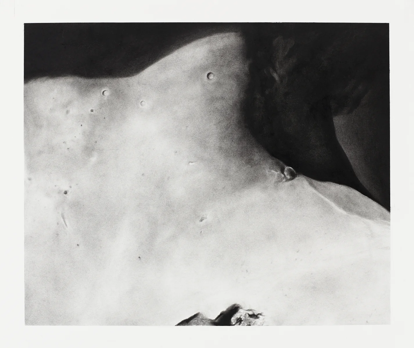 Fragment (Neck I) Charcoal on paper 54x60cm 2017