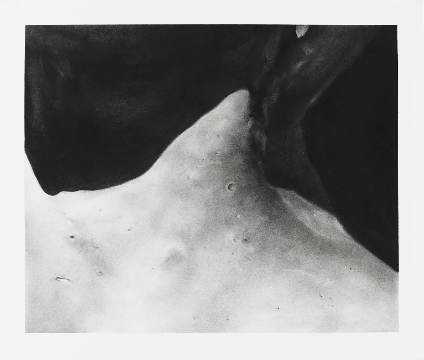 Fragment (Neck III) Charcoal on paper 54x60cm 2017