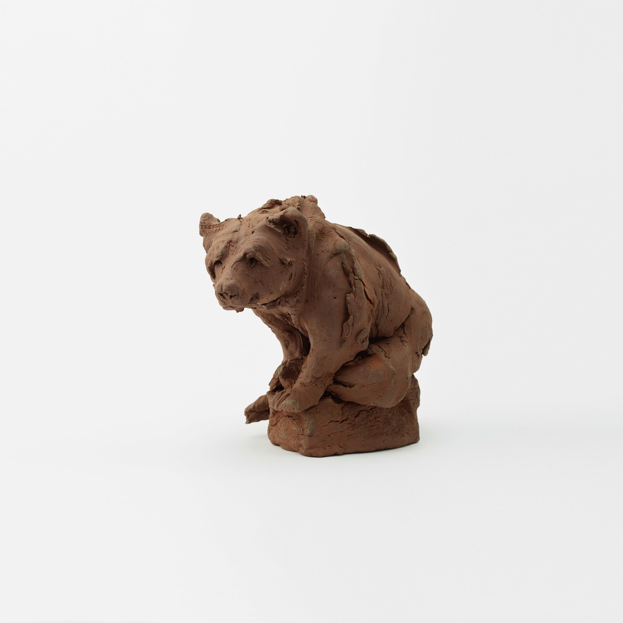 Larger Bear Study , 2019 Photography: Masaki Ogawa