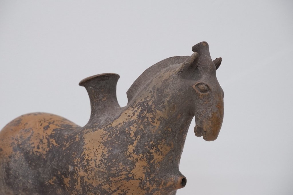 Exhibitions — Gallery 38