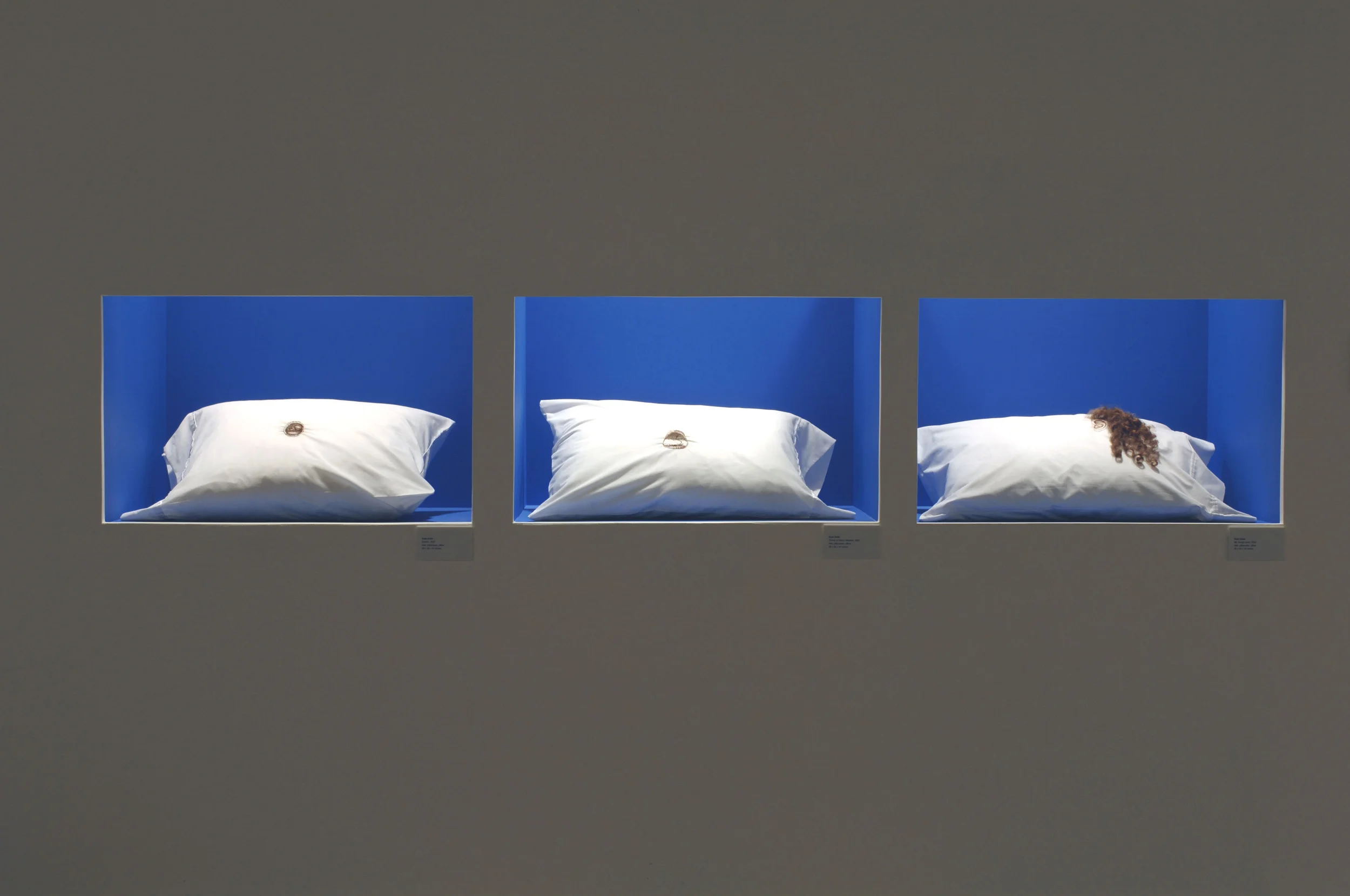 "Grace & Shame" installation, Frost Art Museum