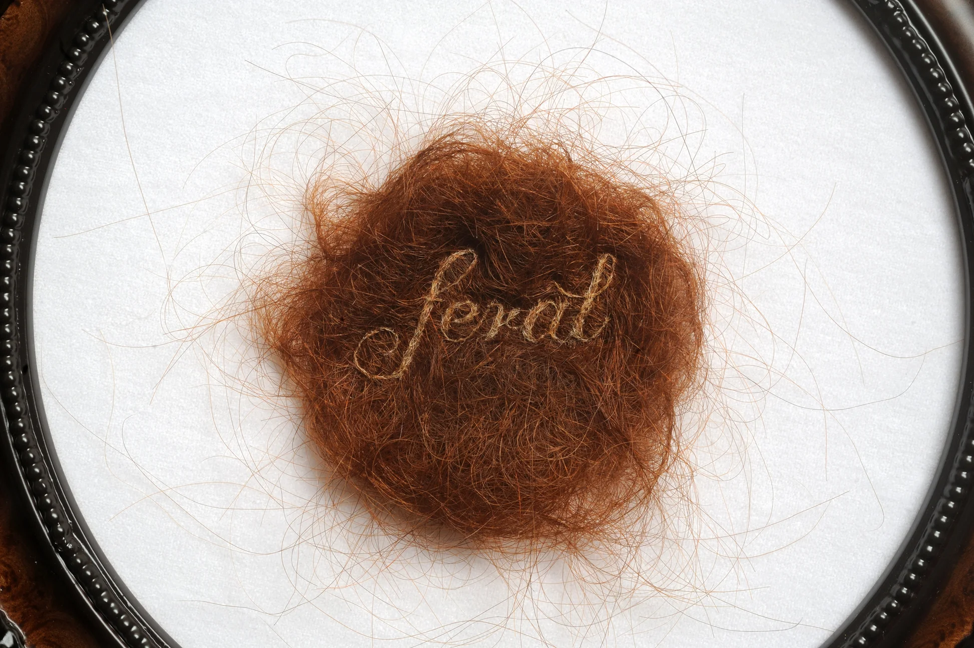 Feral (detail)