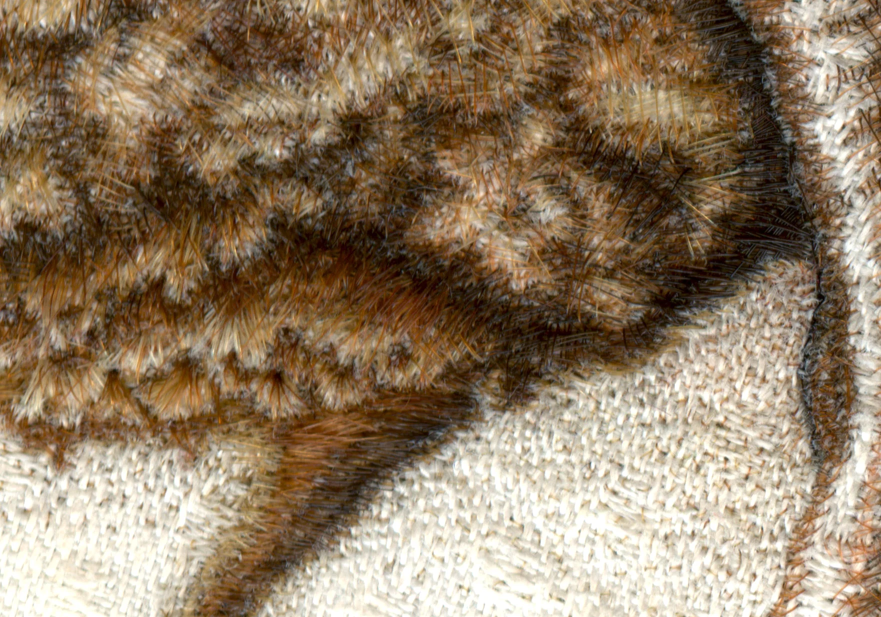 Oubliette II (detail)
