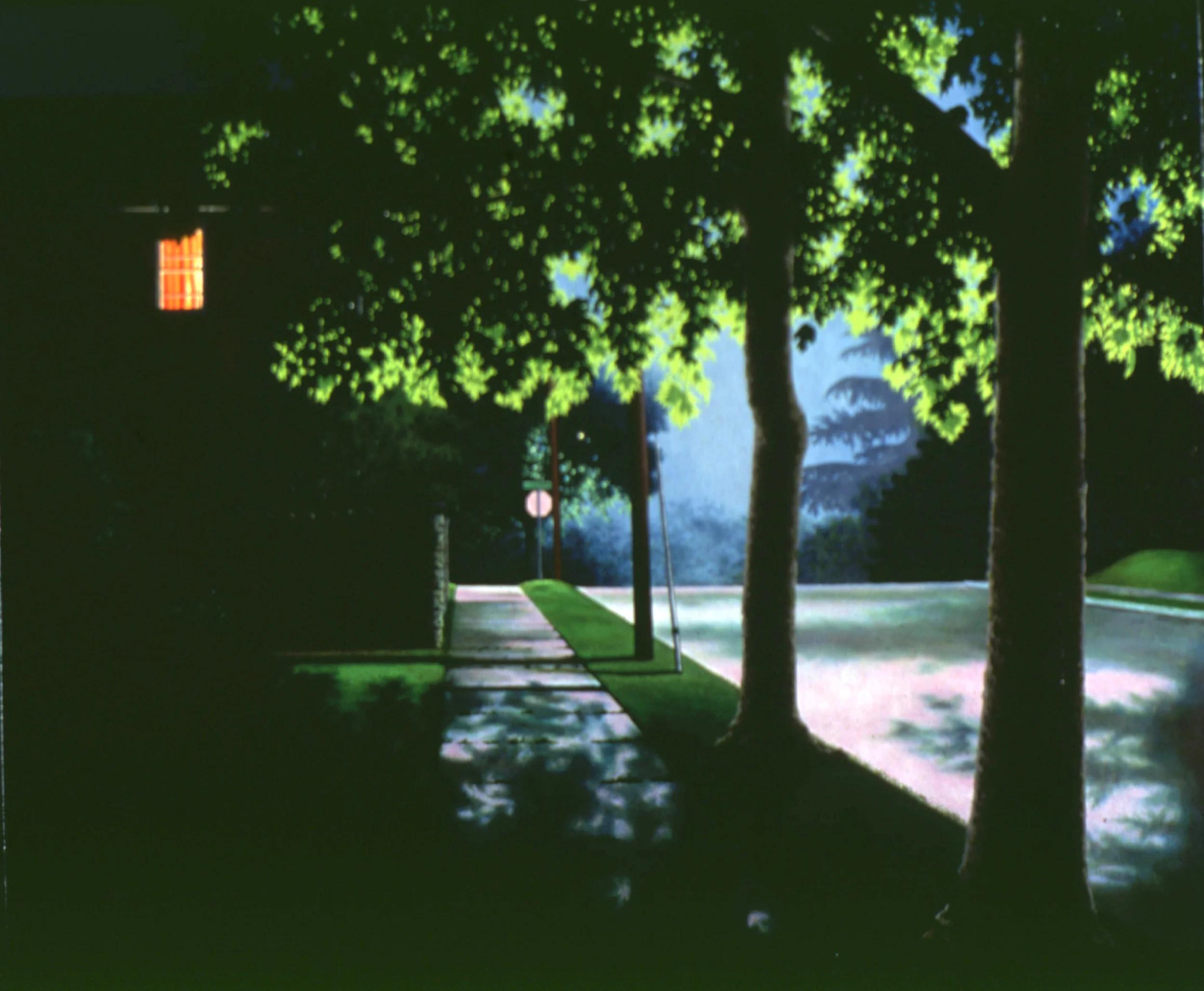 Nocturnal Landscape III