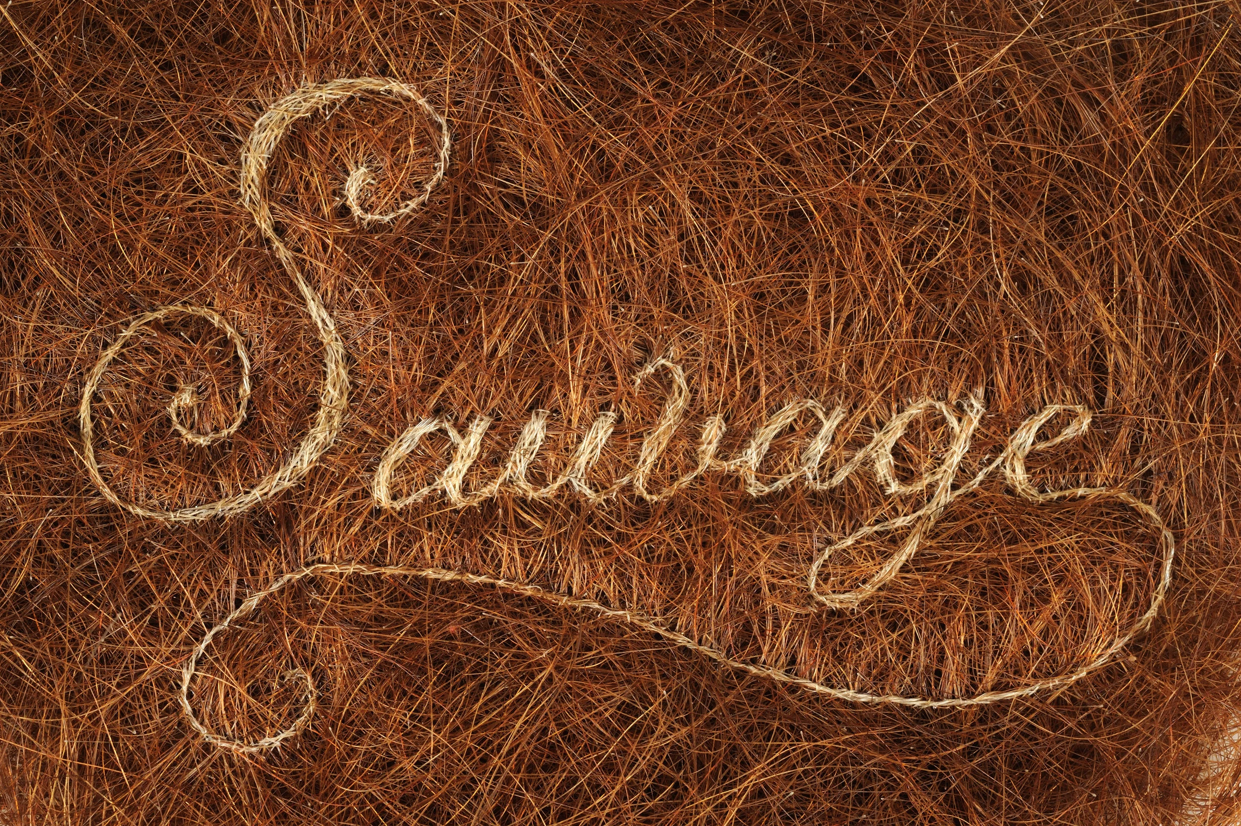 Sauvage (extreme detail)