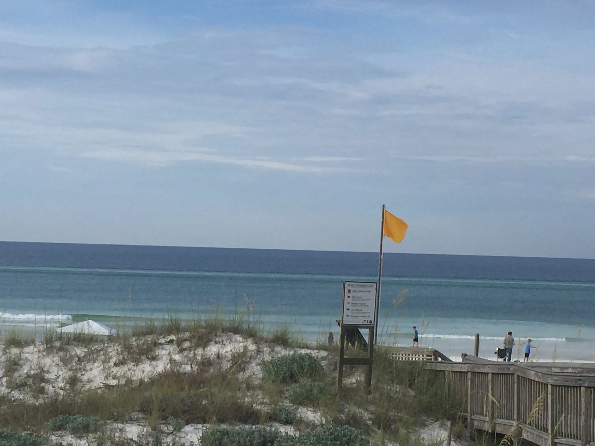A different angle of the boardwalk. I really should have recognized my own family by the time I was this close.