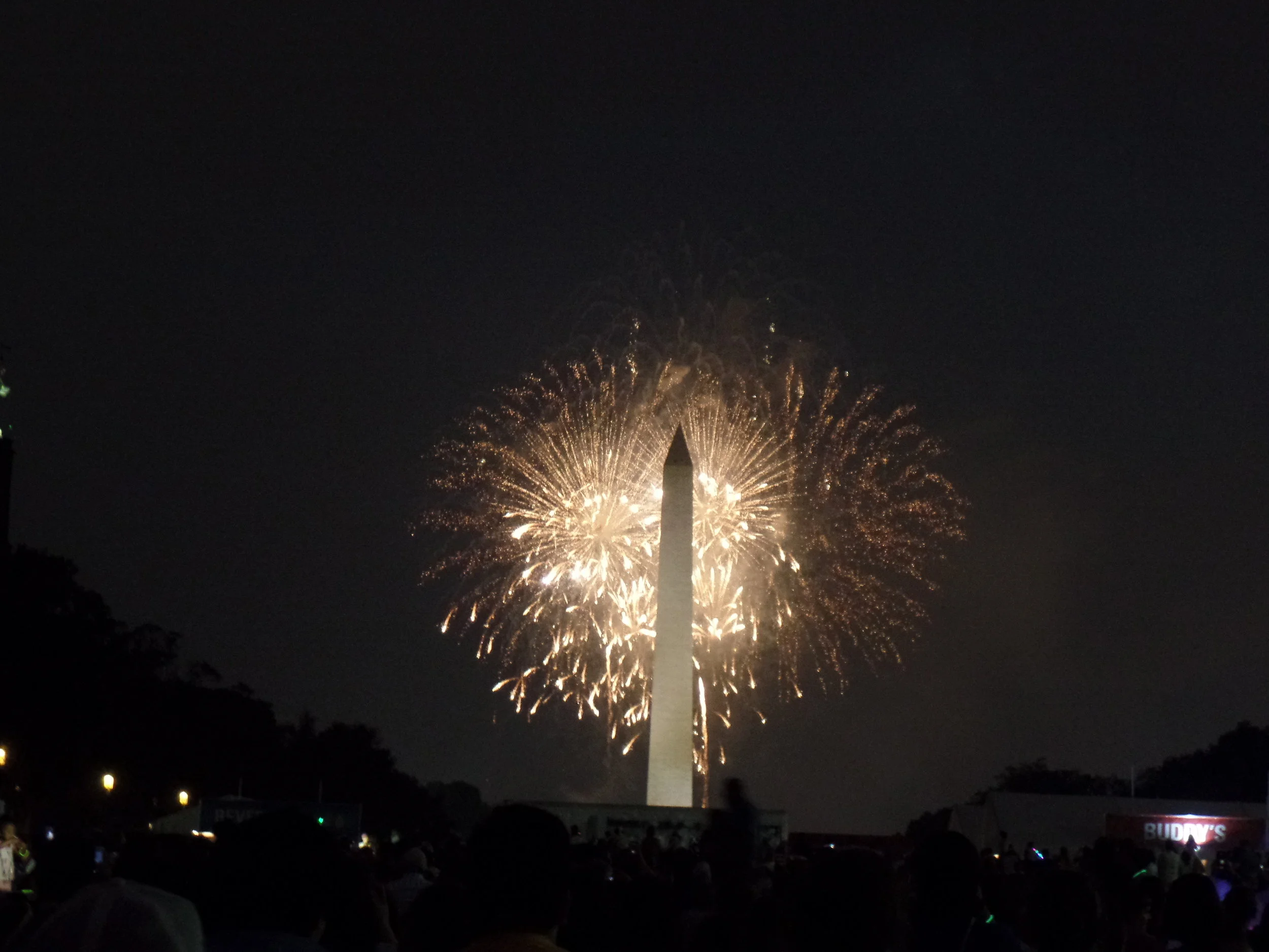 I didn't know if we could do it, but the goal was to make it through the fireworks. The kids (and Zach and I) did it.