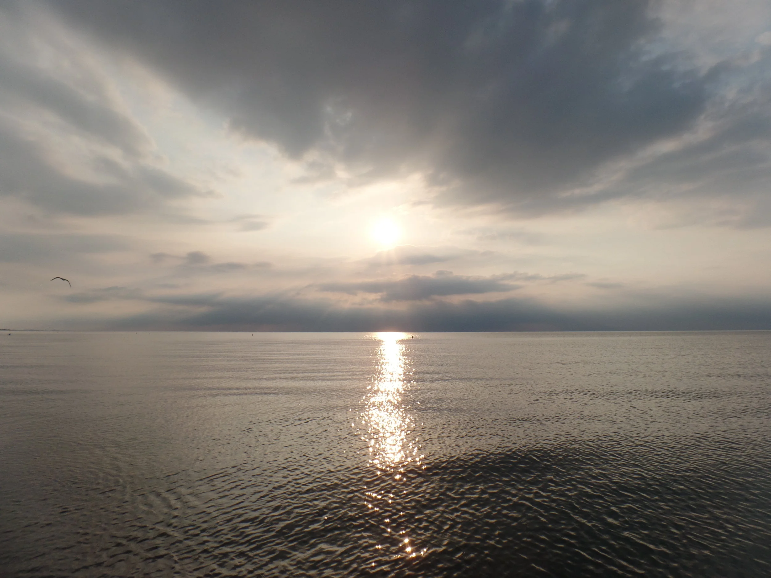 The view of Lake Michigan from the shore. Look at the bird in the sky on the right--it looks like the ones you draw as a kid.