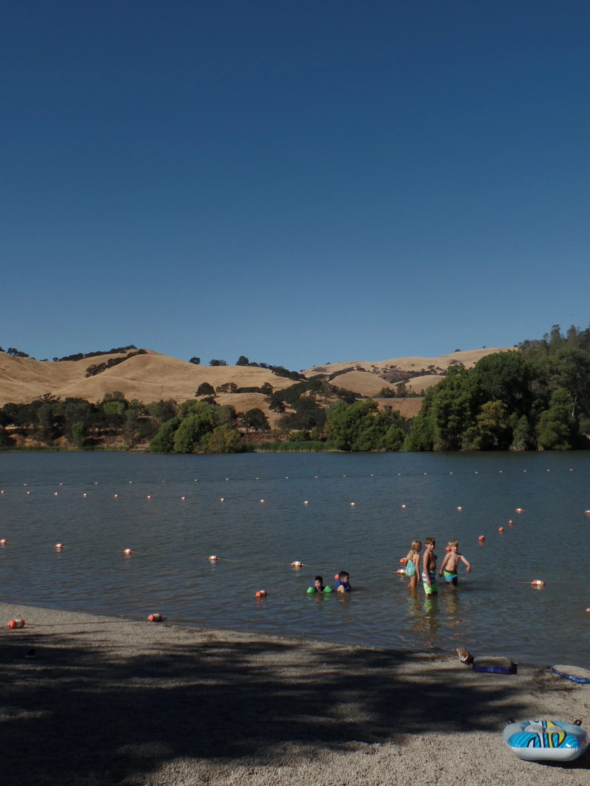 The kids got to swim and had fun playing with some new friends.
