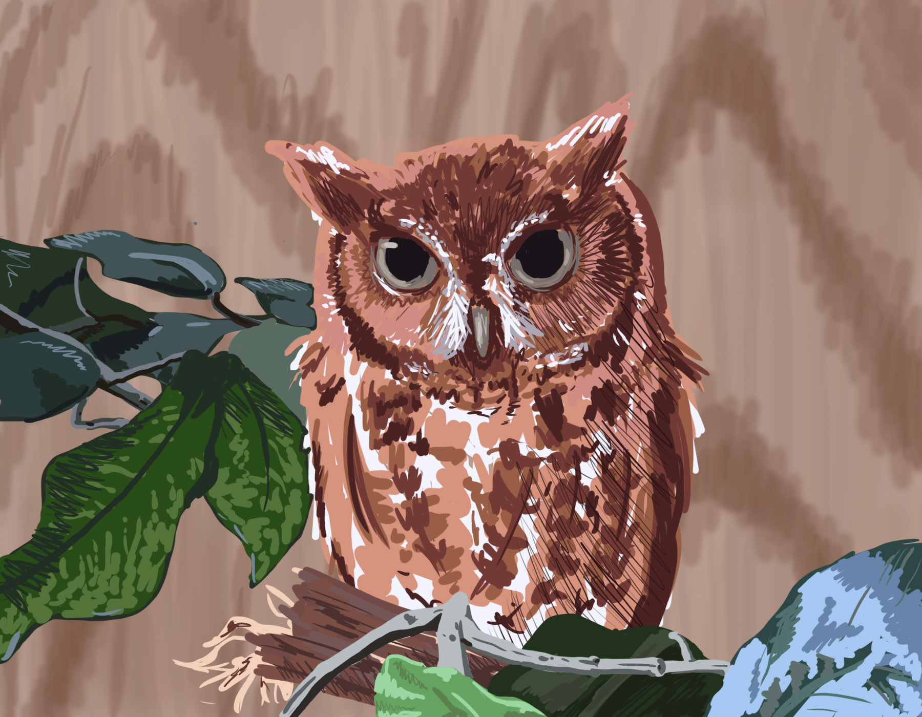 Owl