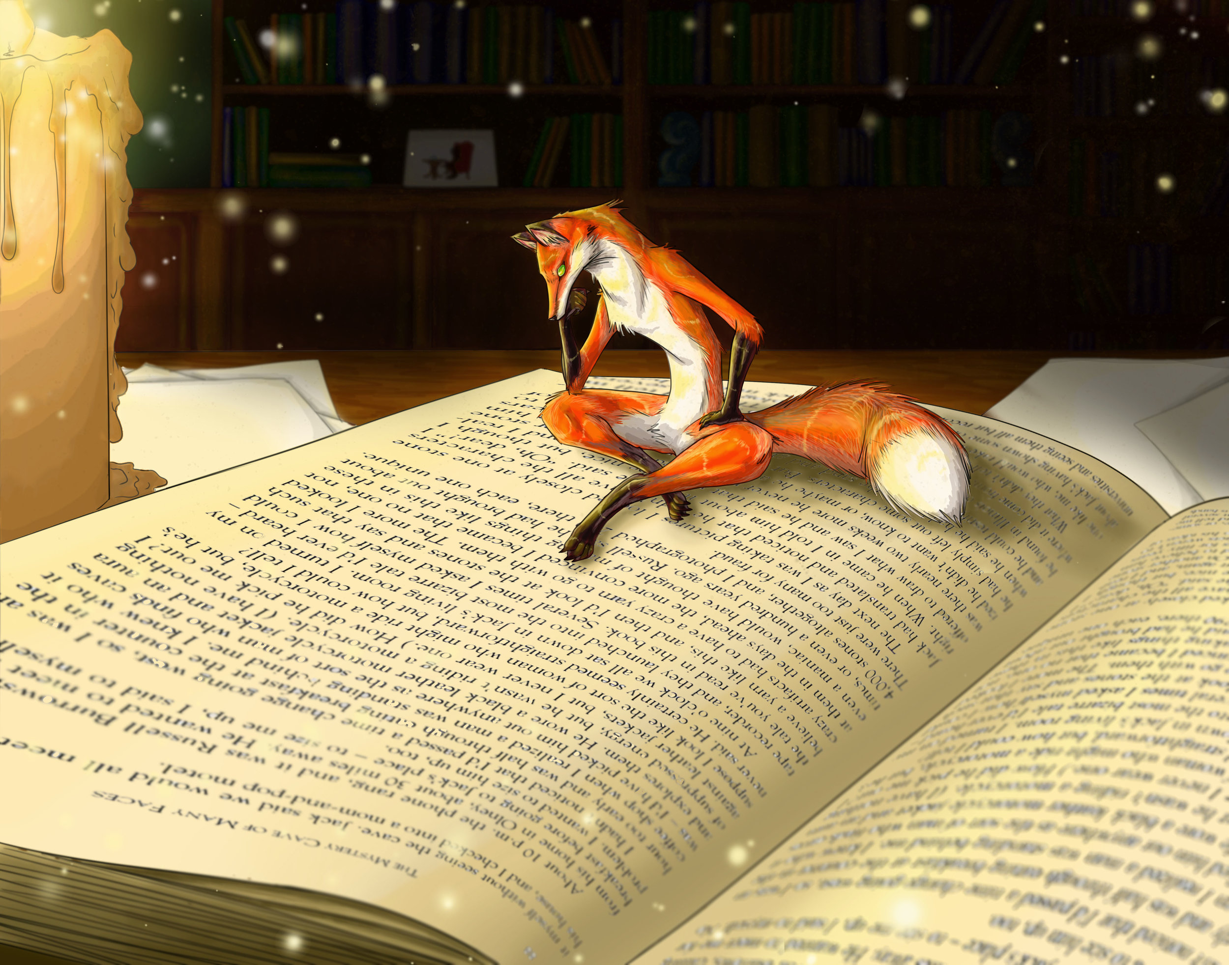 Midnight Adventures.jpg