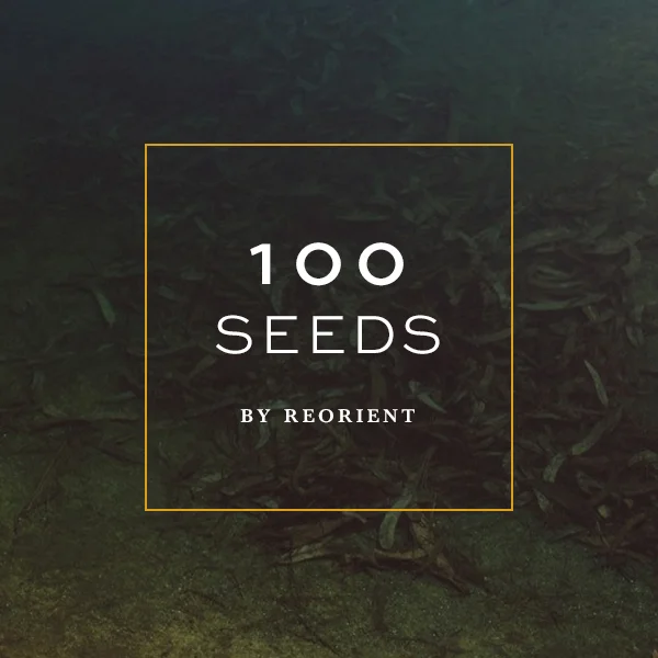 logo_100seeds_thumbnail_portfolio.jpg