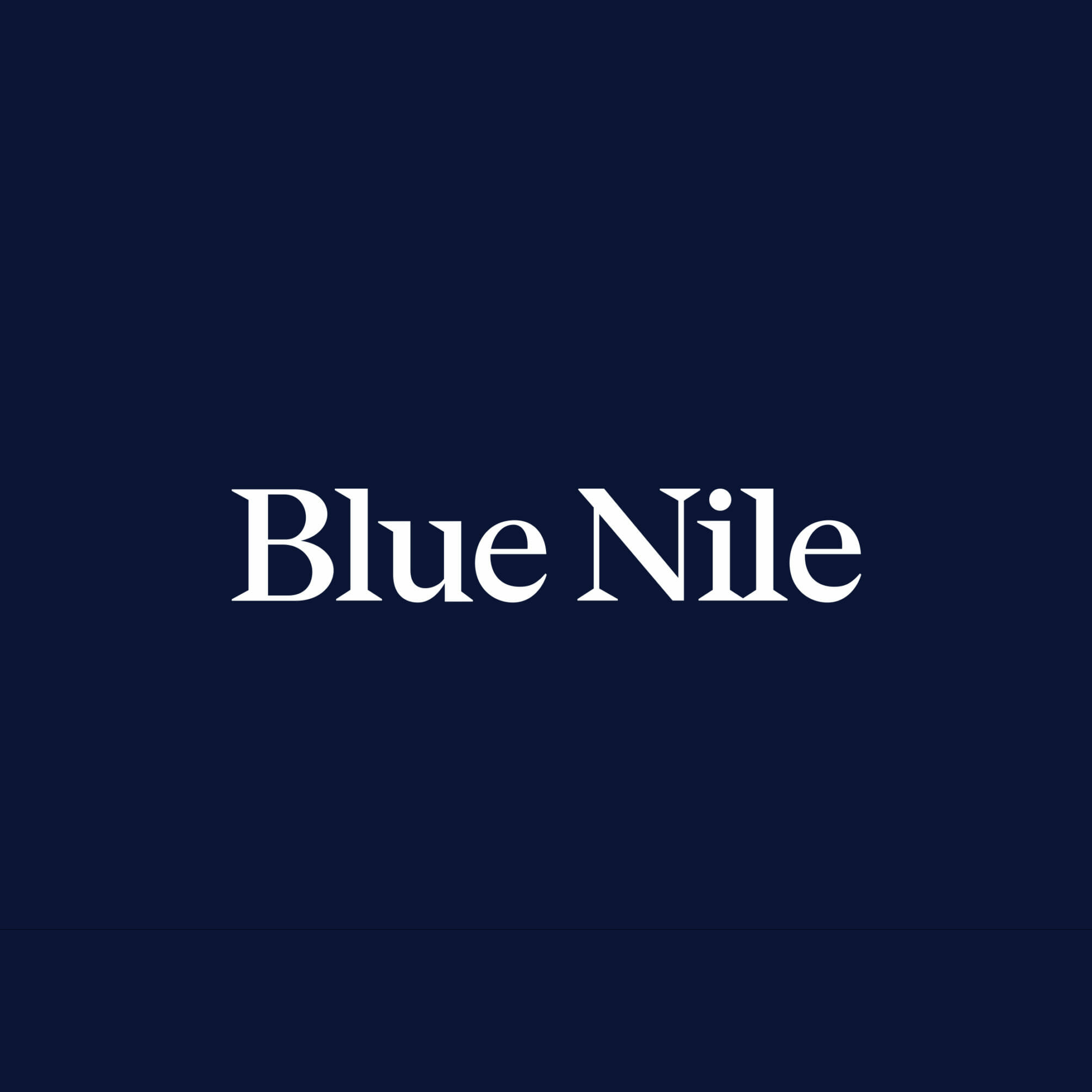 BN-logo.png