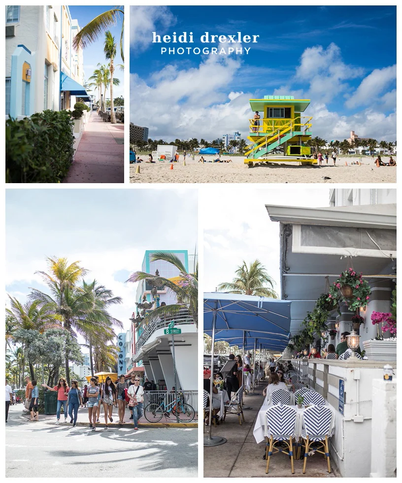 miami6.jpg