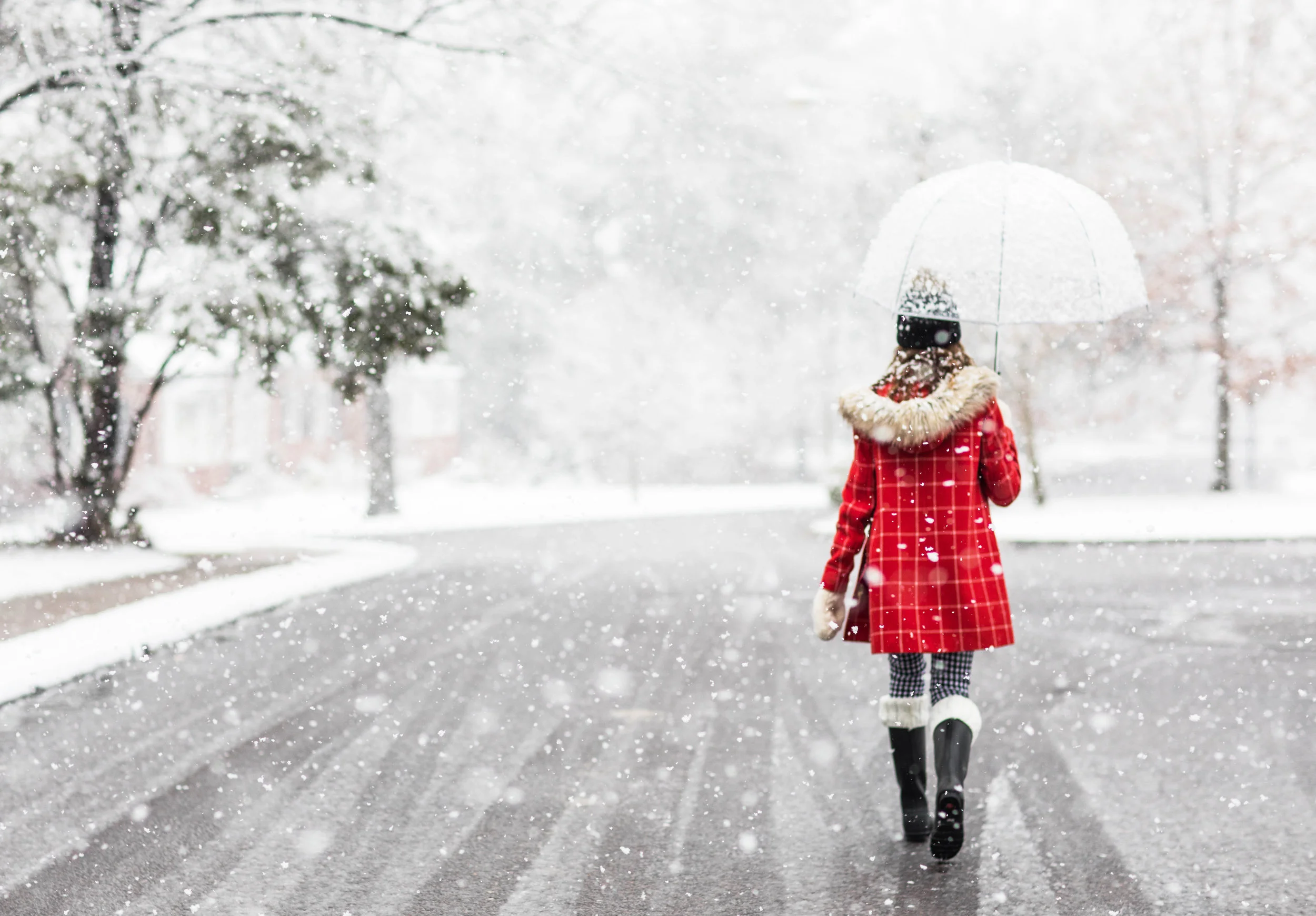 emily-snow-2.jpg