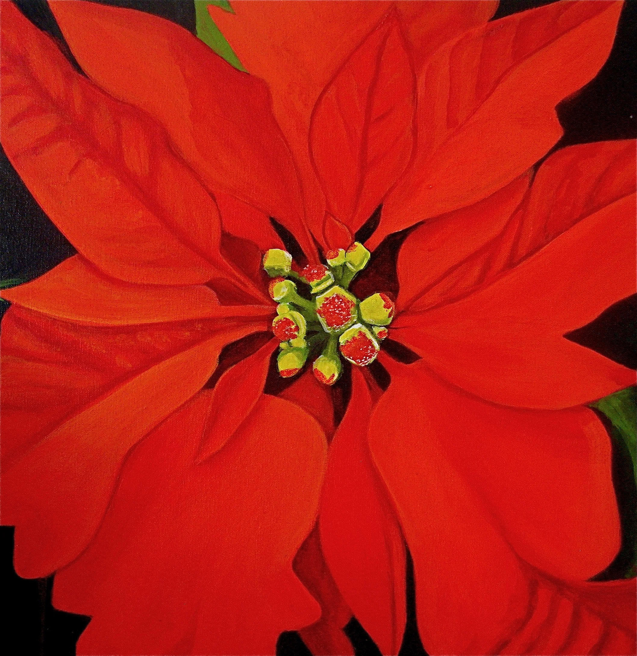 Poinsettia.JPG