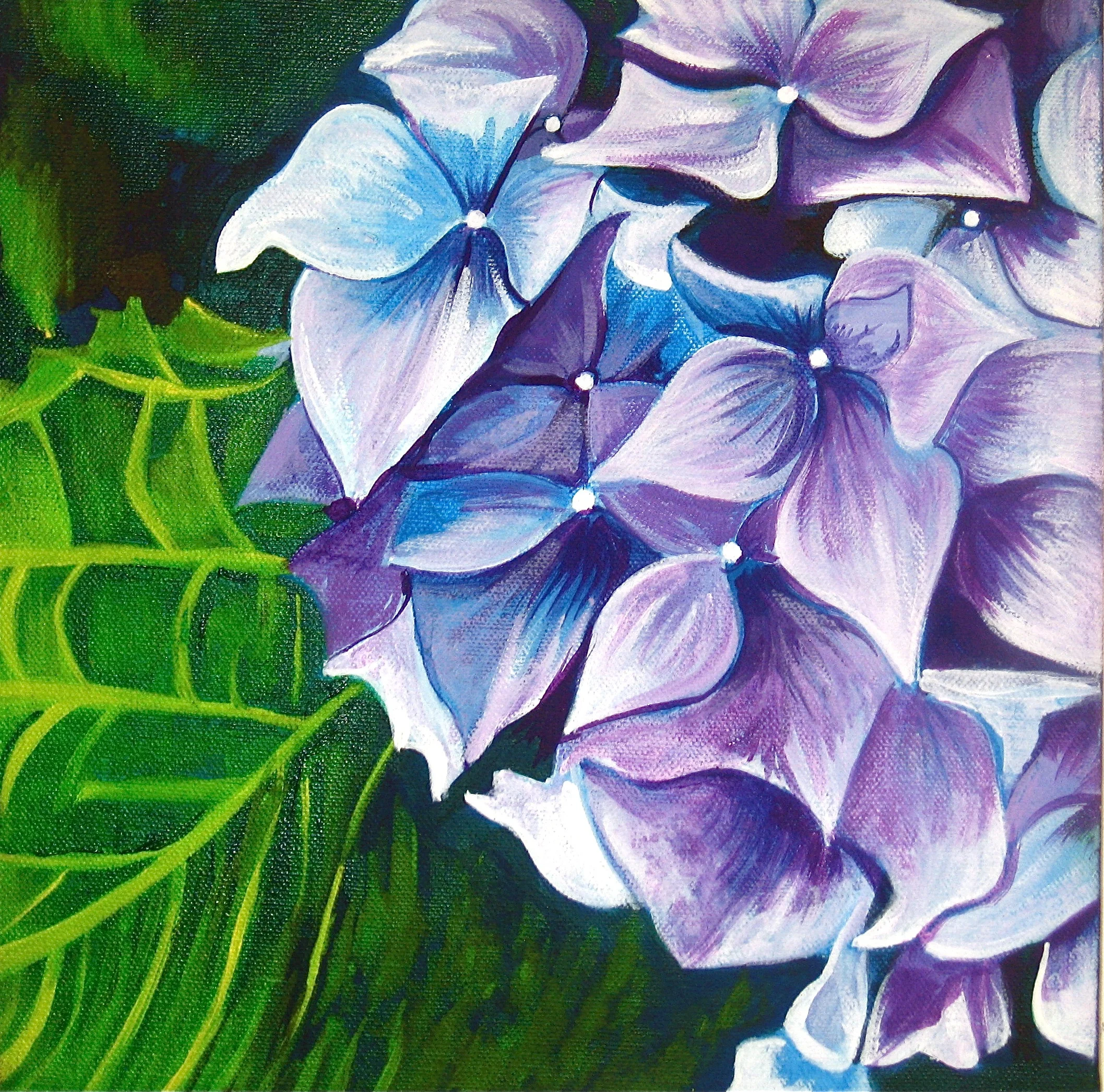 Purple_Hydrangea_.JPG