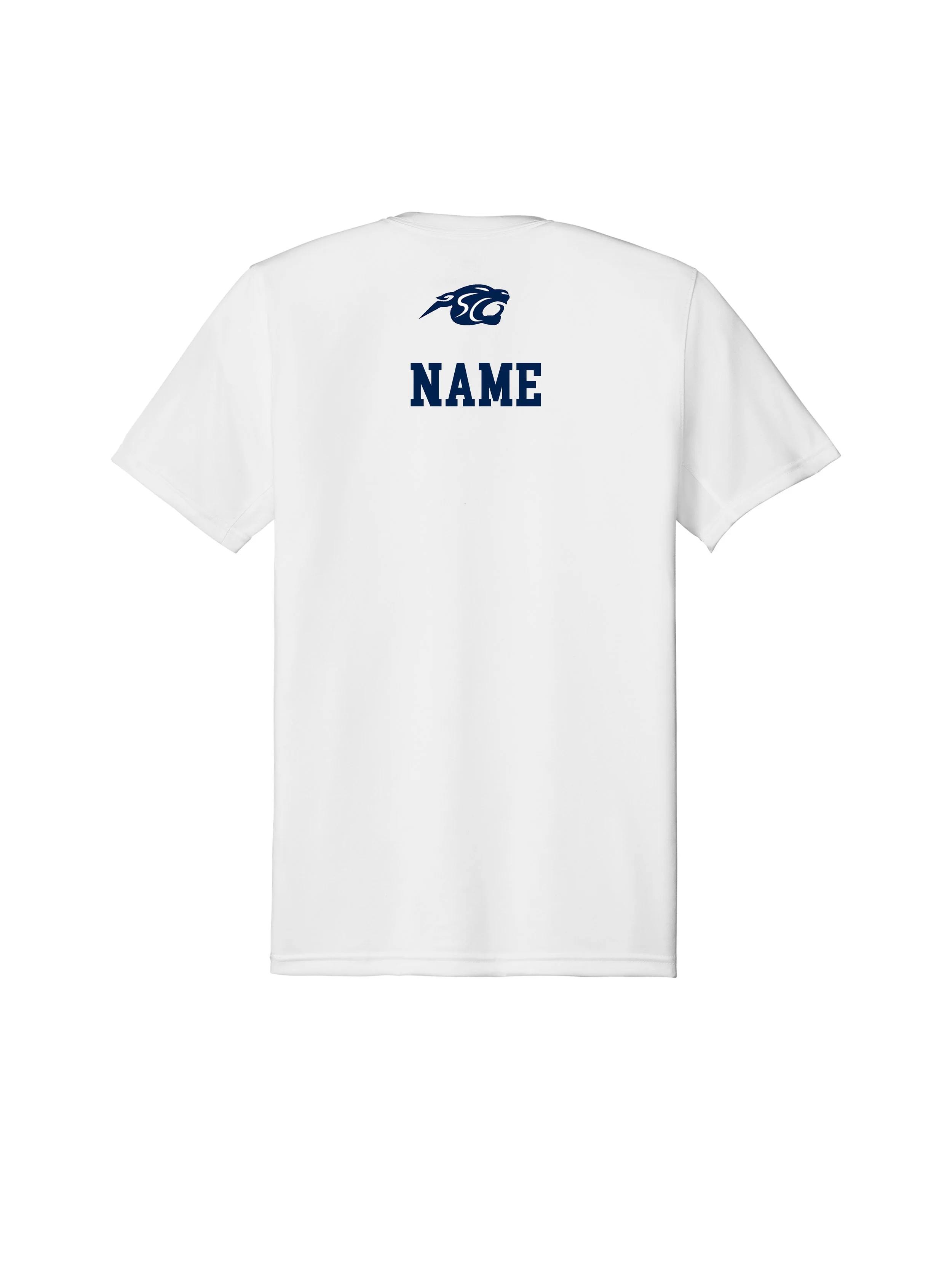 namescback.jpg