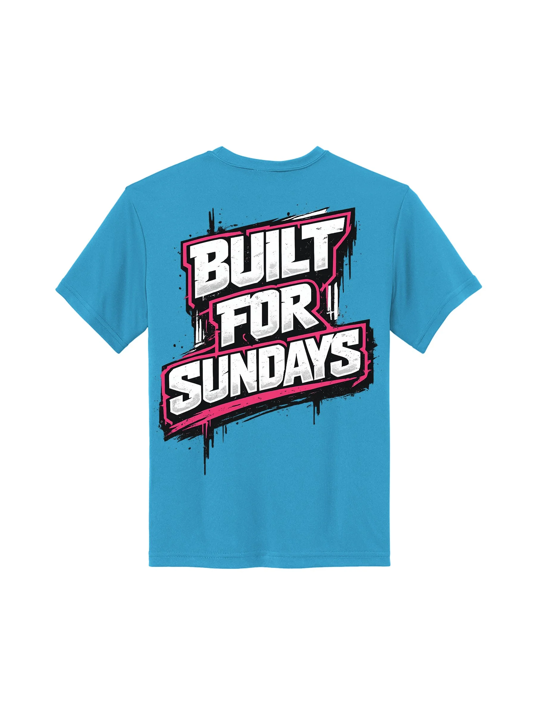 hitdogs teal back.jpg