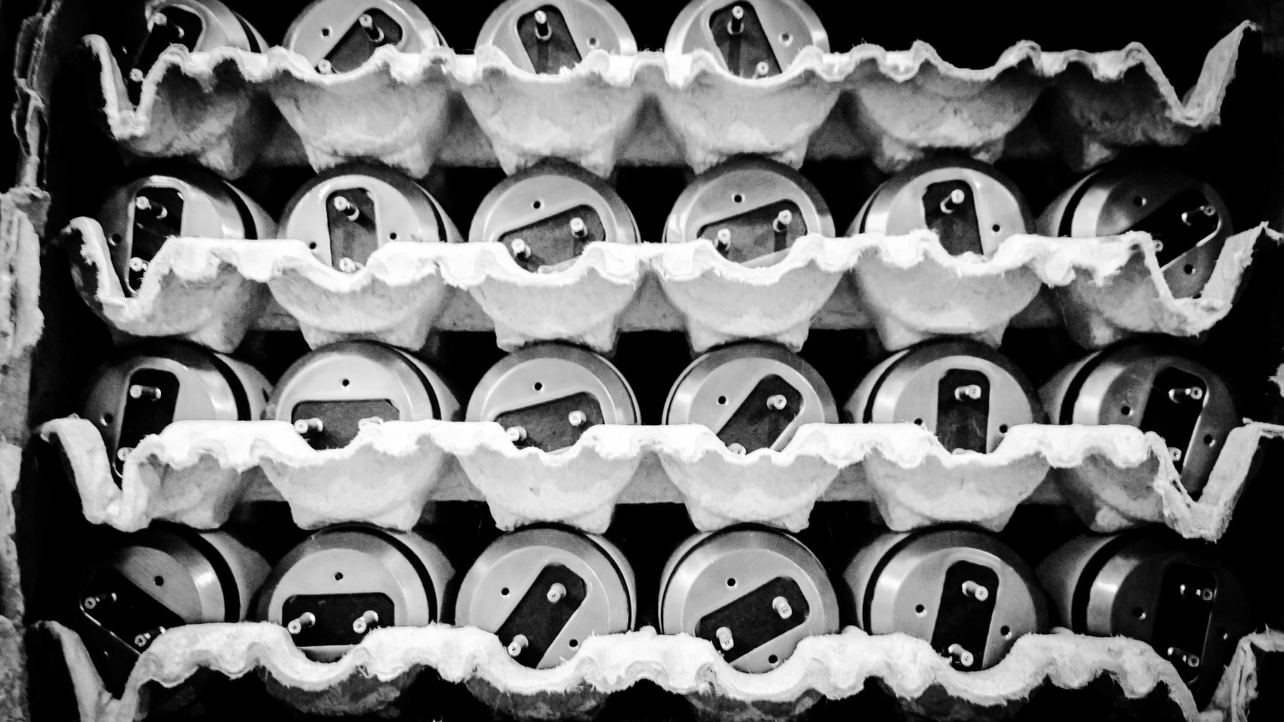 Fluorescent Light Bulbs