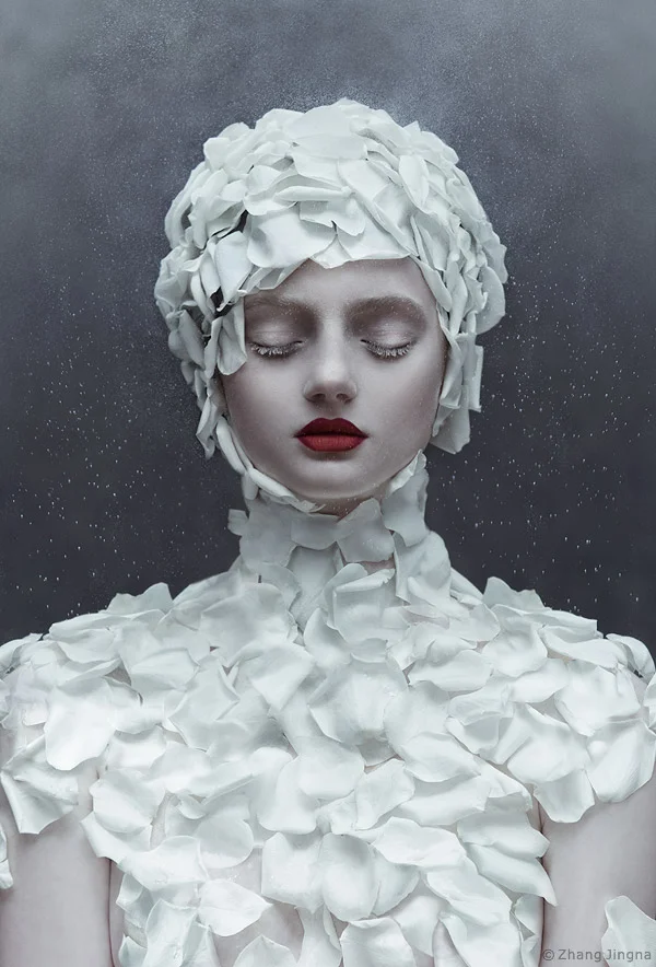 Winter's Rose