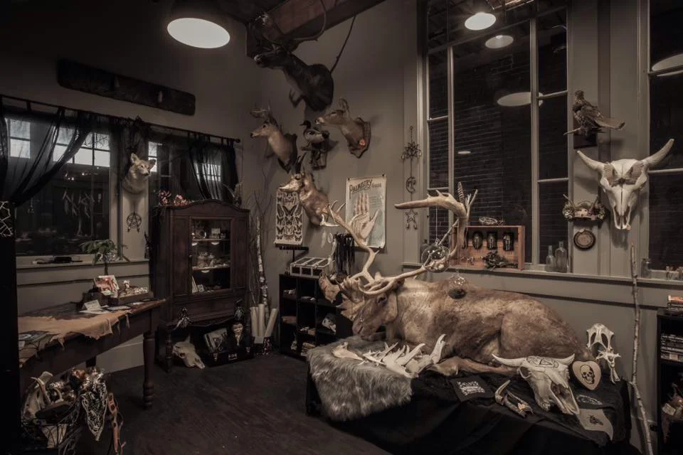 Image by Bad Moon Shop