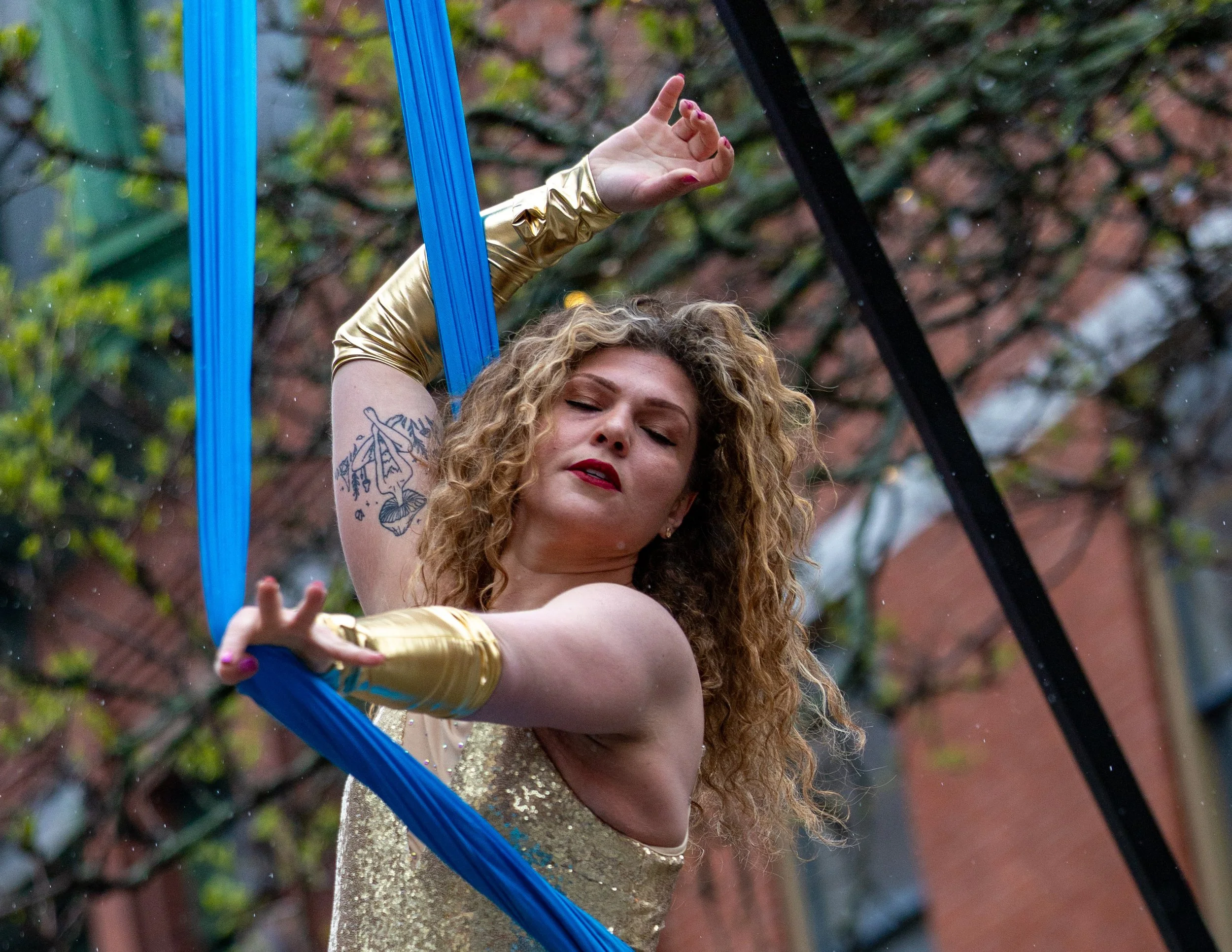 springbuskfest26-low-res-20_55266784910_o.jpg