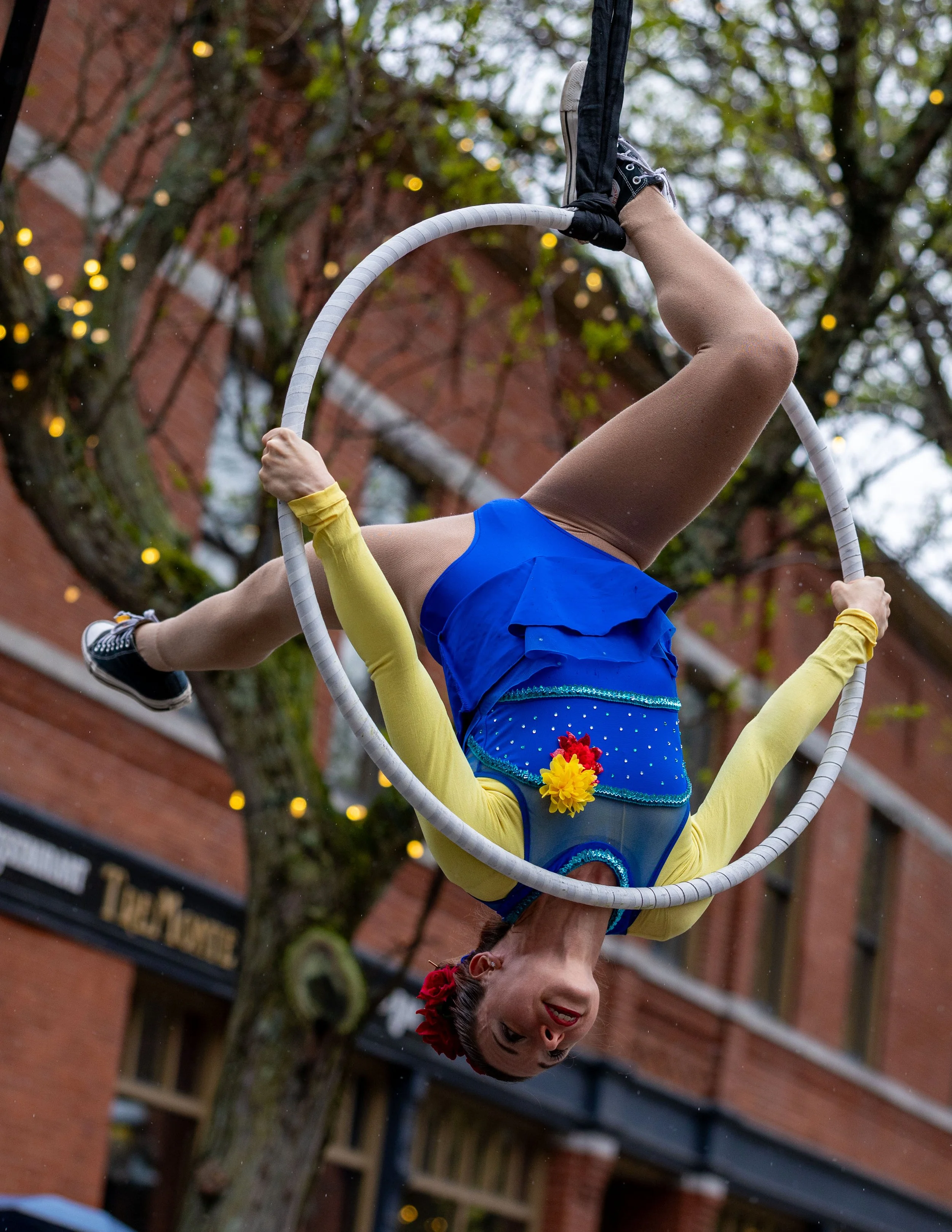 springbuskfest26-low-res-30_55265481232_o.jpg