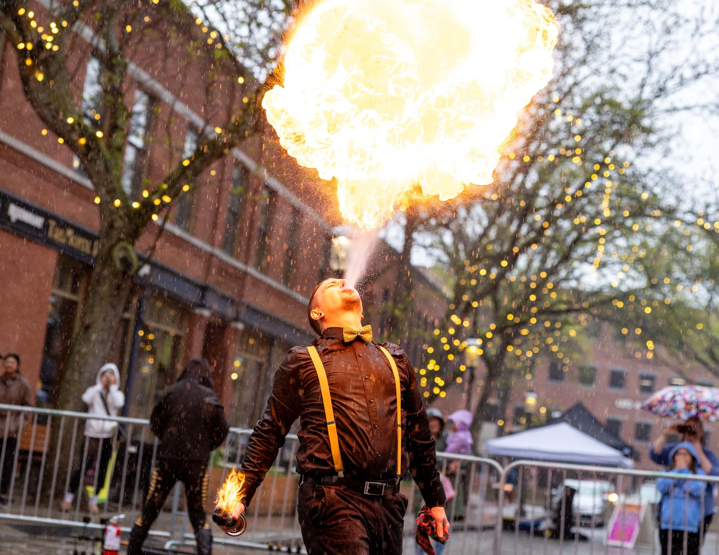 springbuskfest26-low-res-138_55266389081_o.jpg