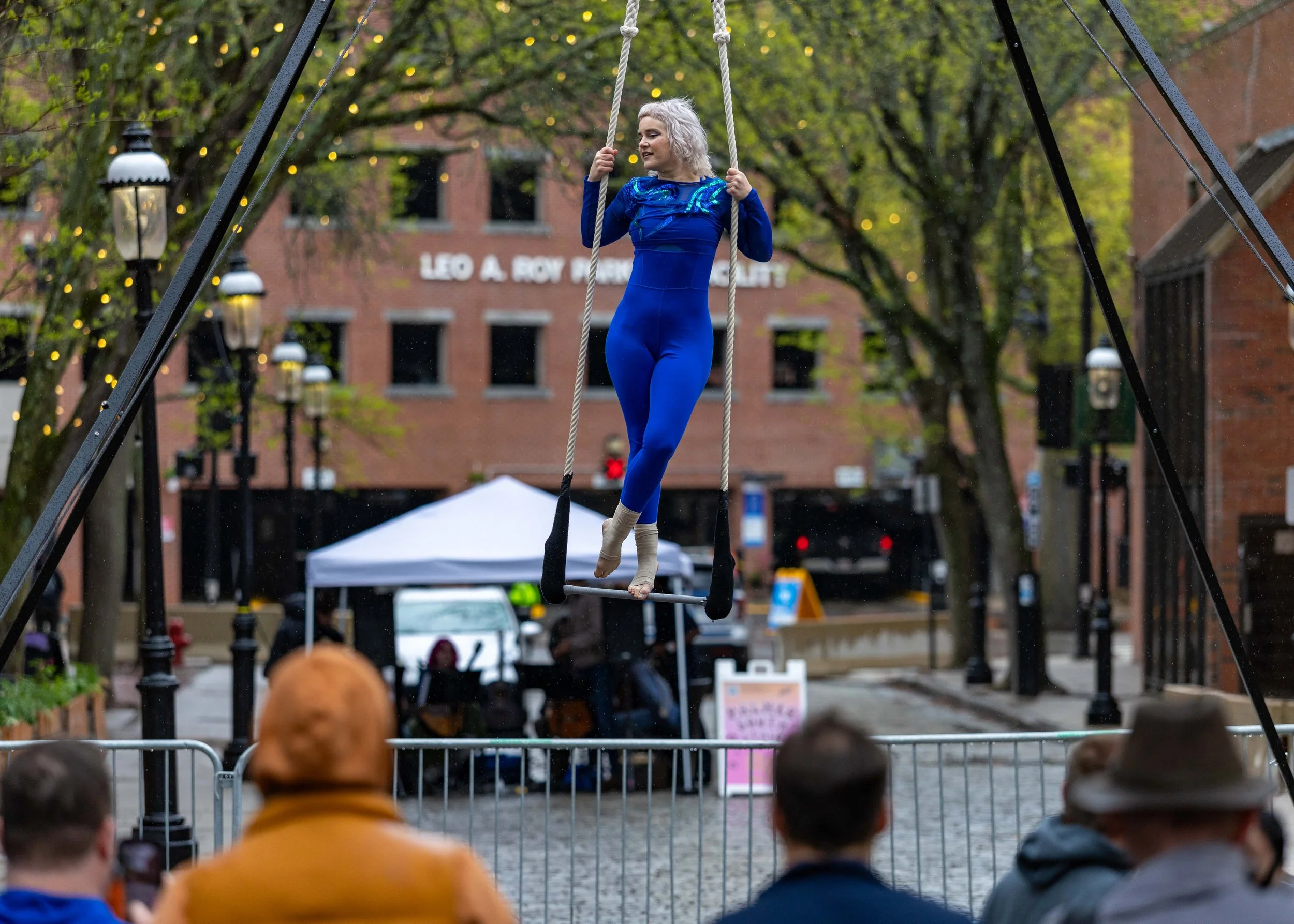 springbuskfest26-low-res-22_55266784900_o.jpg