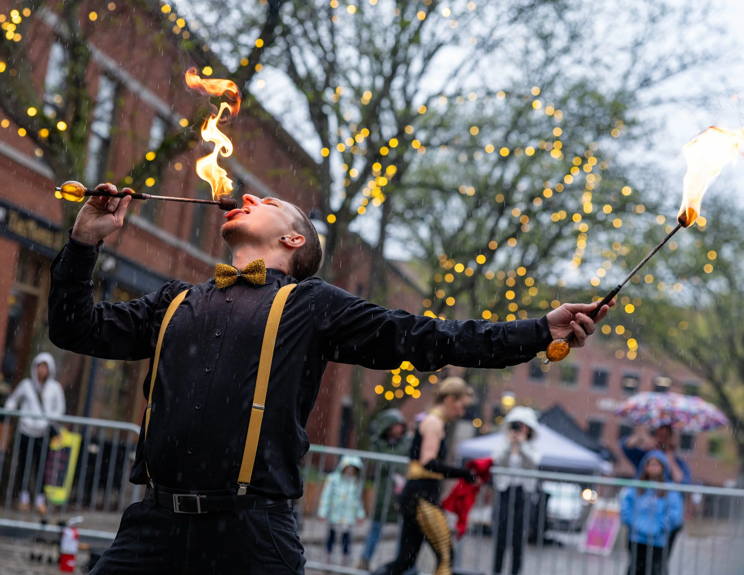 springbuskfest26-low-res-137_55266783280_o.jpg