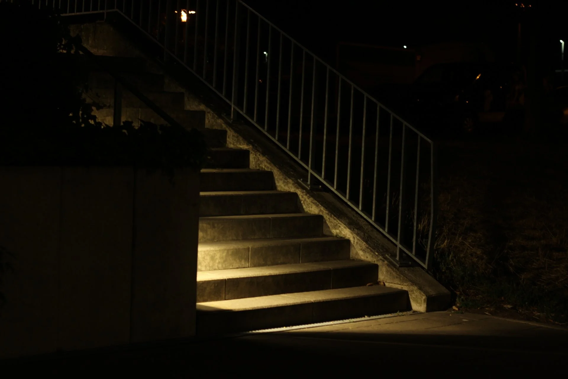 Jimena Aguilar_city lights_ (3).JPG