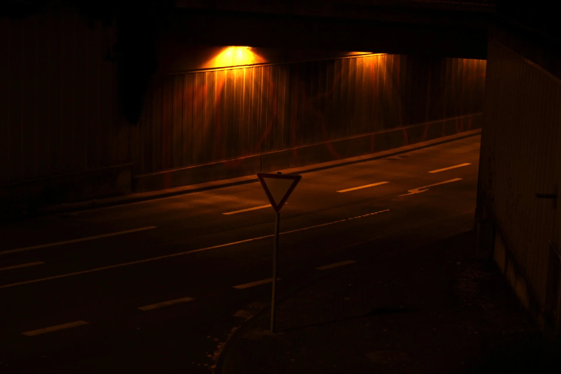 Jimena Aguilar_city lights_ (5).JPG
