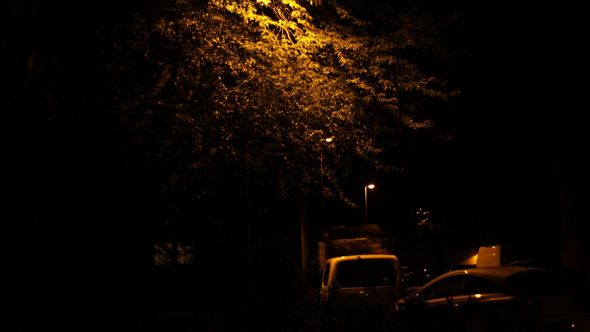 Jimena Aguilar_city lights_ (7).JPG