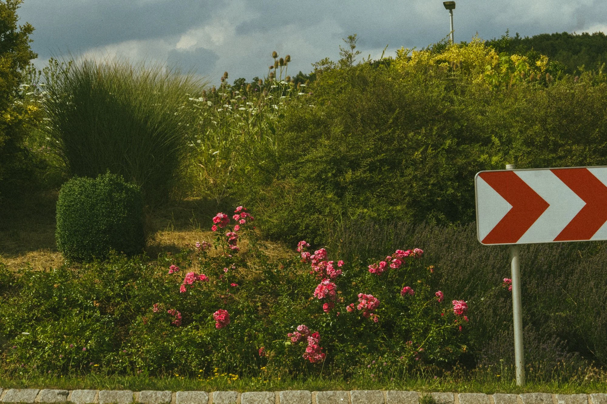 Mads Colvin Germany 2024-39.jpg