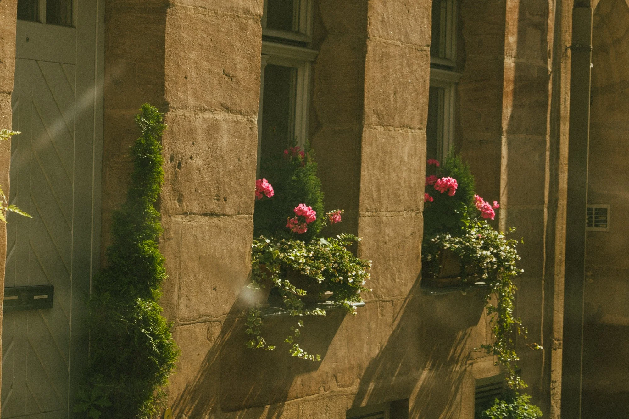 Mads Colvin Germany 2024-42.jpg