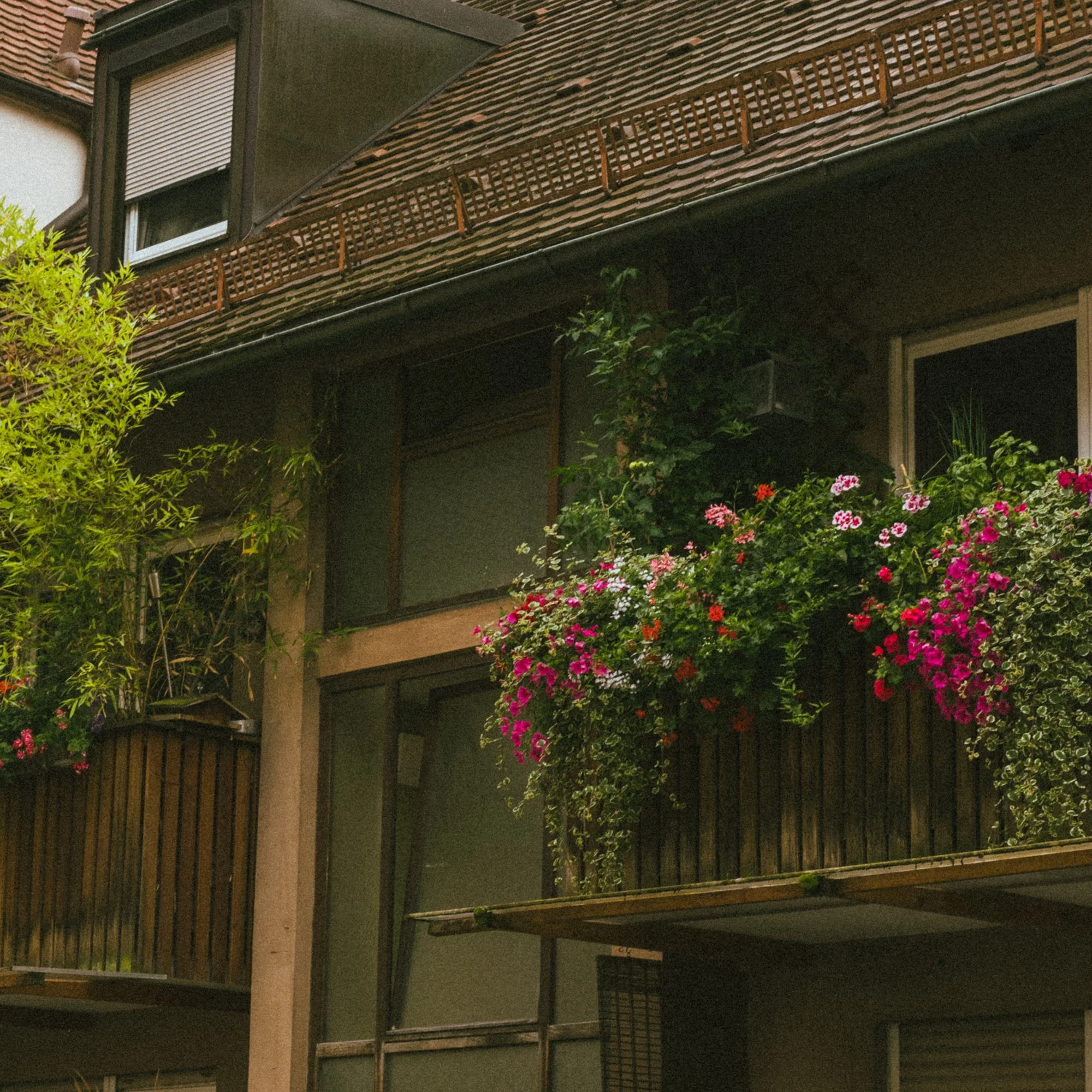 Mads Colvin Germany 2024-45.jpg