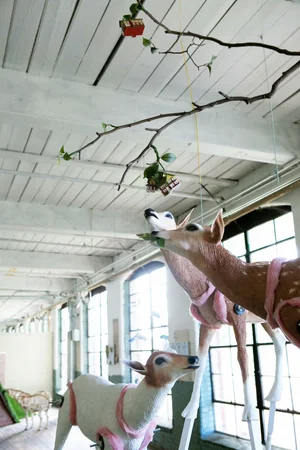 Stacey+Holloway+-Herds--6.jpg