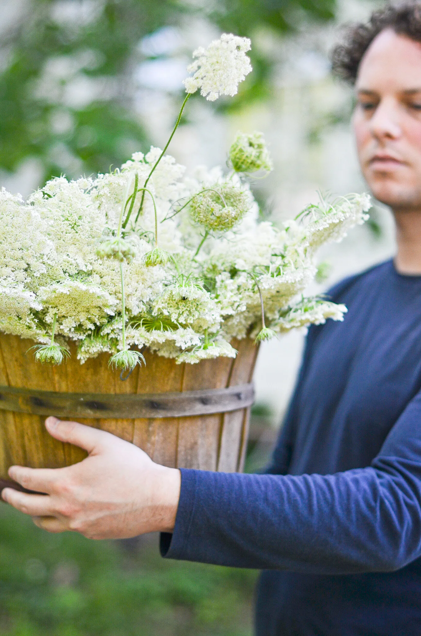 natural dye no. 1: Queen Anne’s Lace