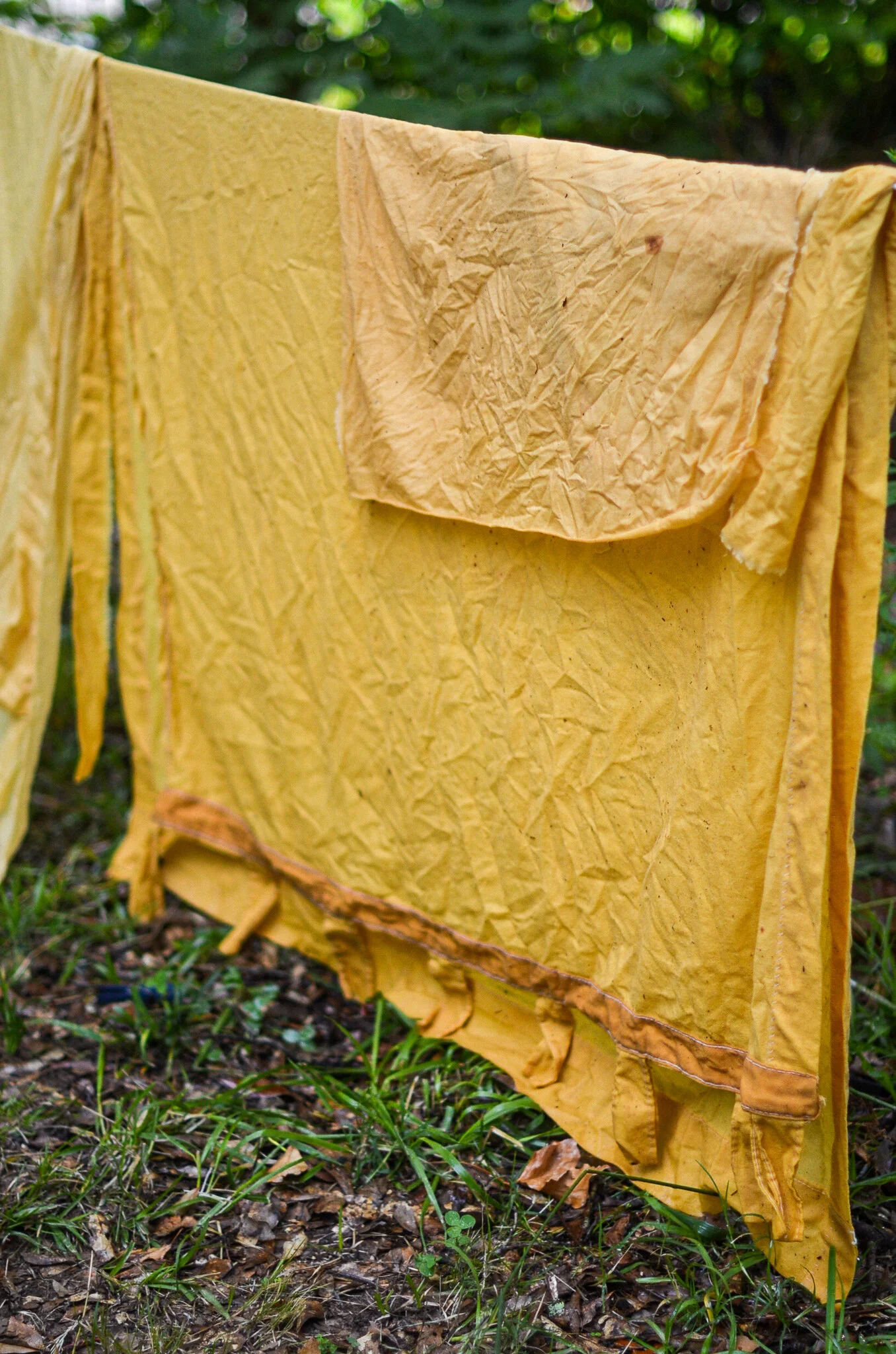 natural dye no. 2: Osage Wood Dye