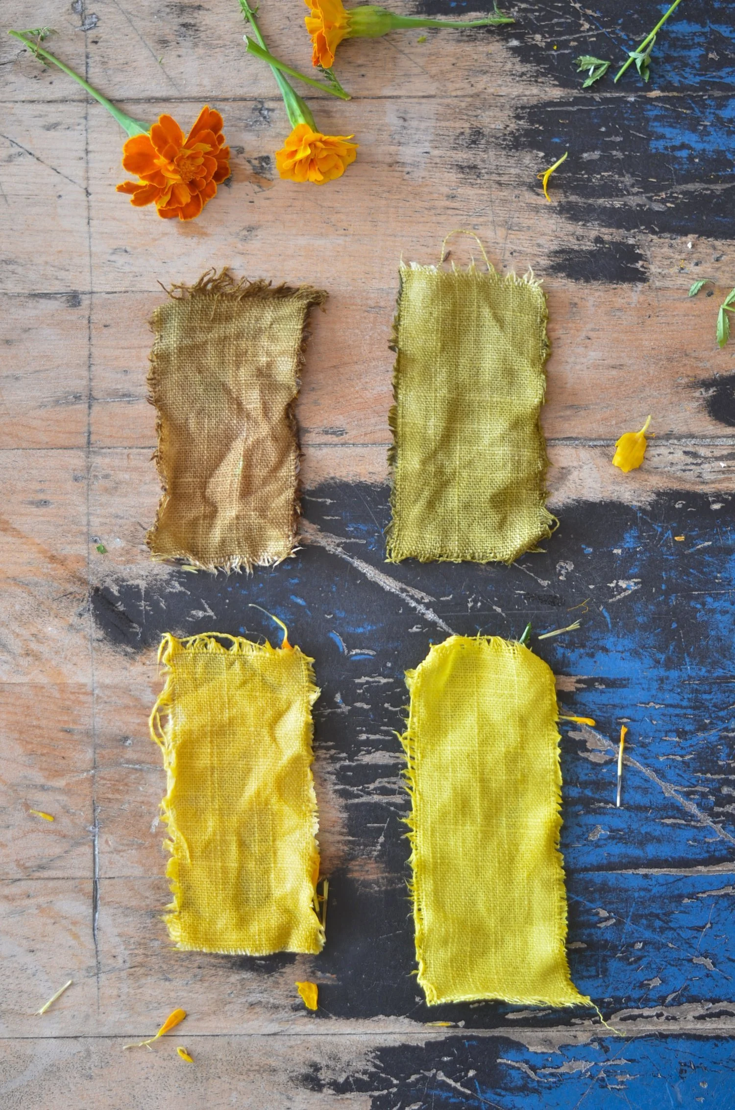 Dallas - Dyeing with Flowers