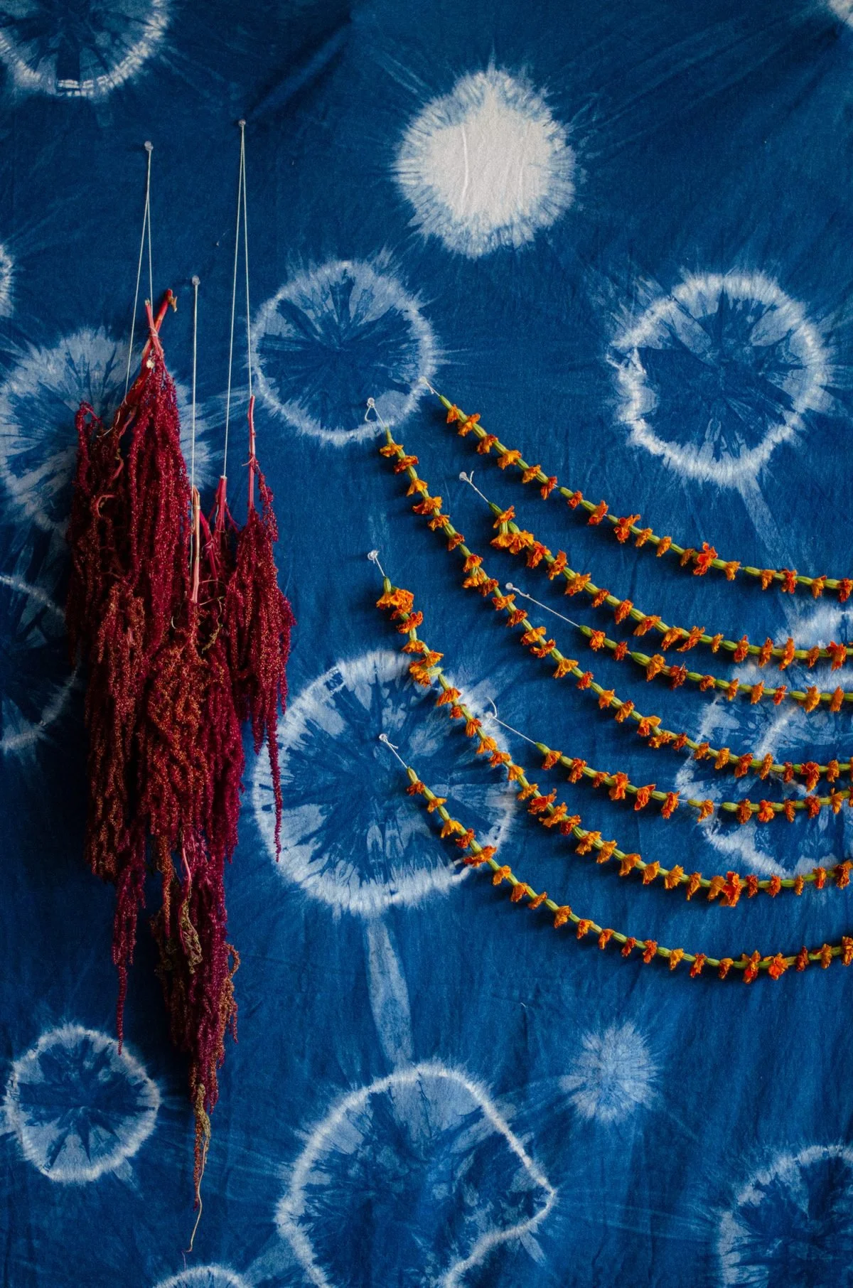 5/2/24 - 5/5/24 - Natural Dyes at the Alabama Folk School