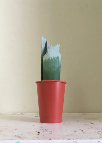 Hypothetical Cactus 1