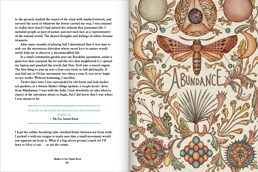  Illustration by Katie Scott 