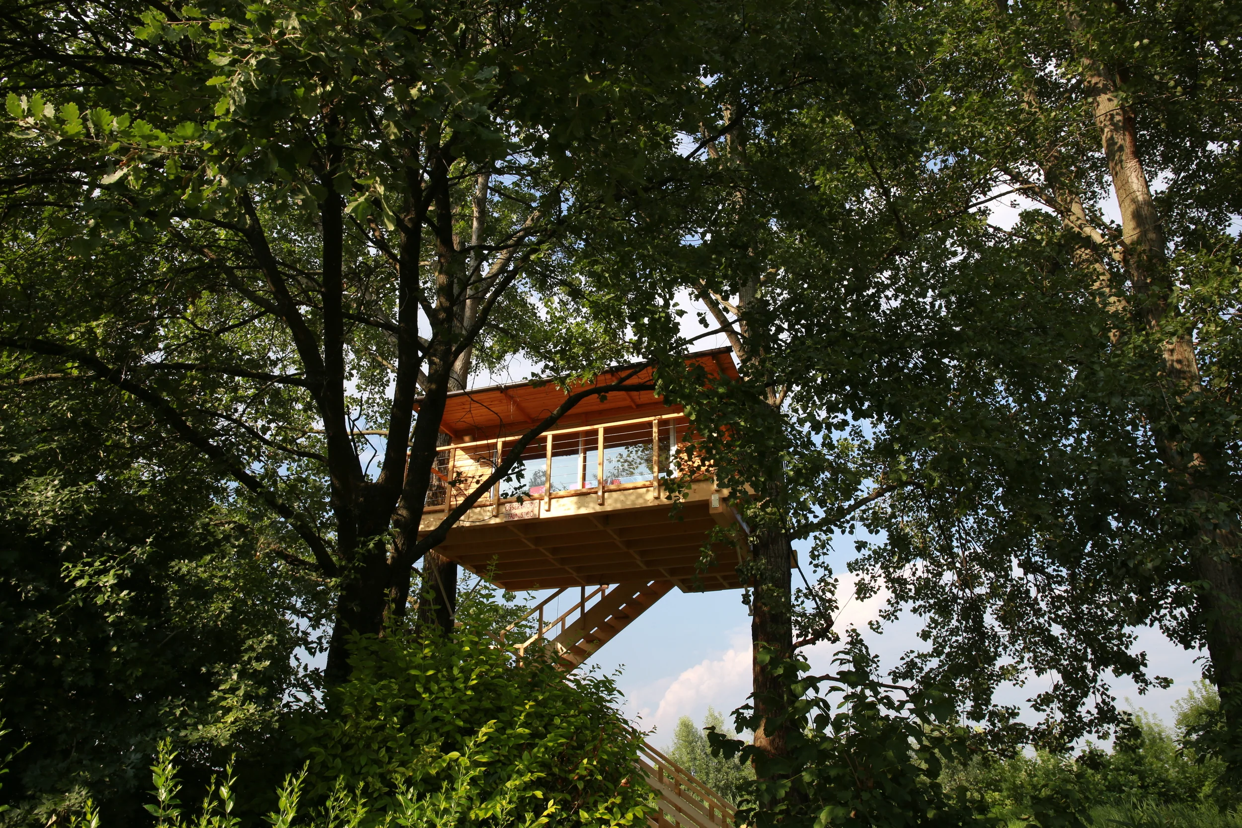 Vista della casa sull'albero
