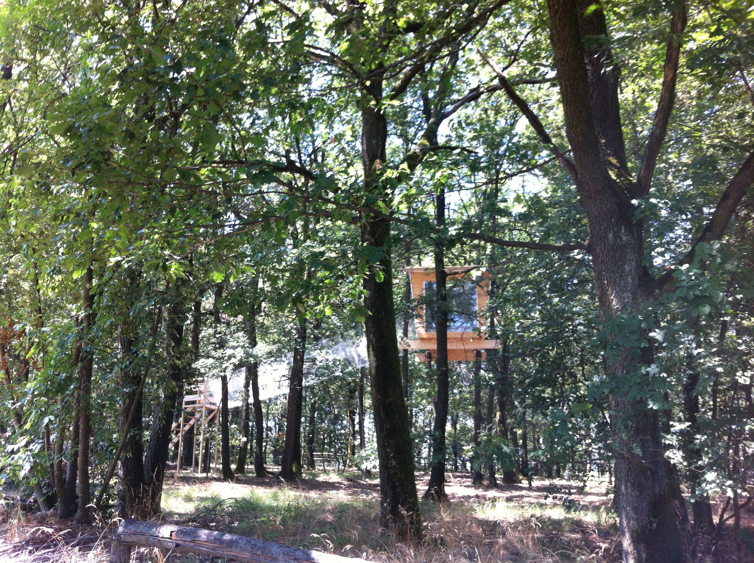 Vista generale della casa sull'albero