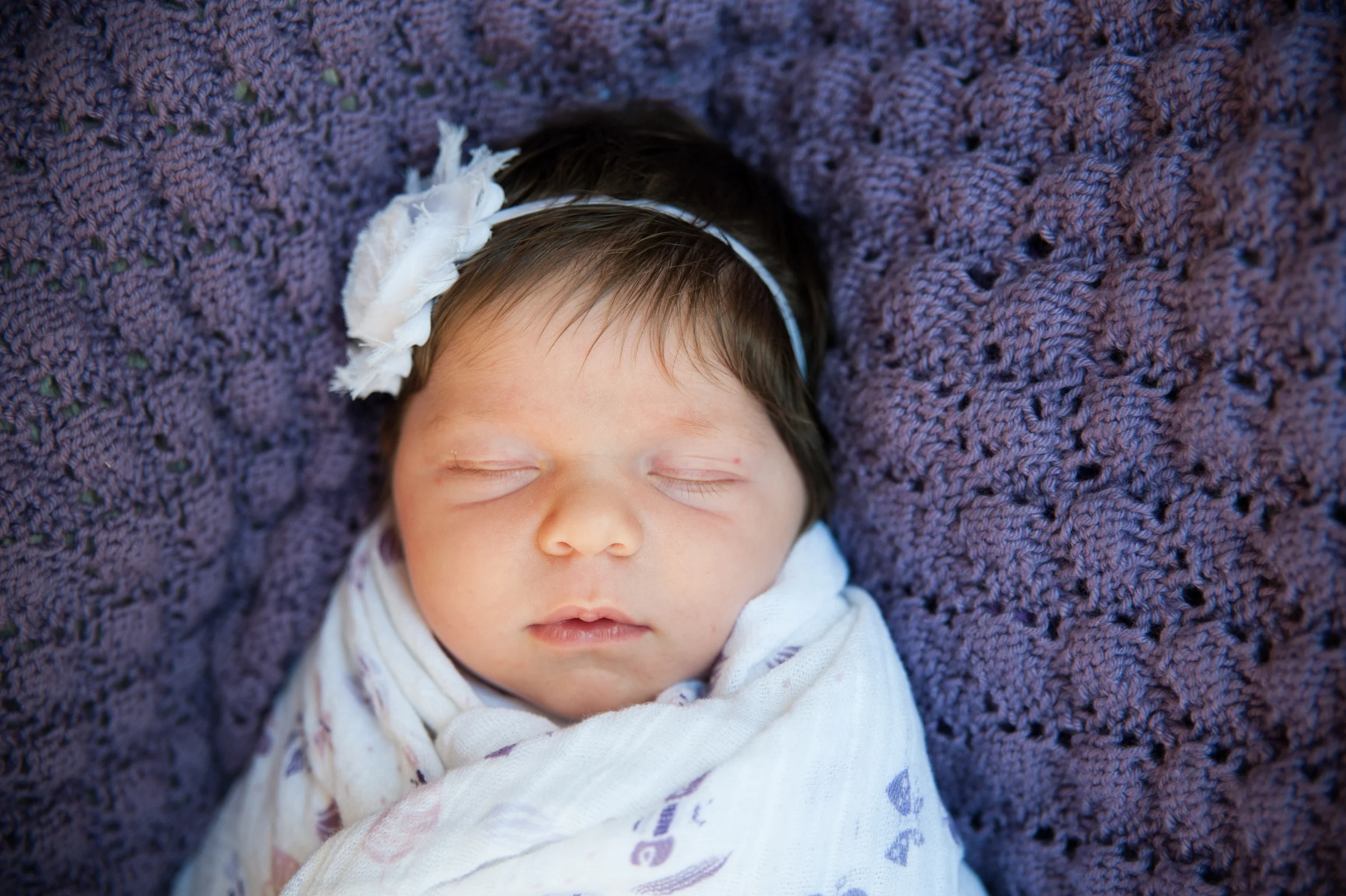 Hilaneh Jane-21.jpg