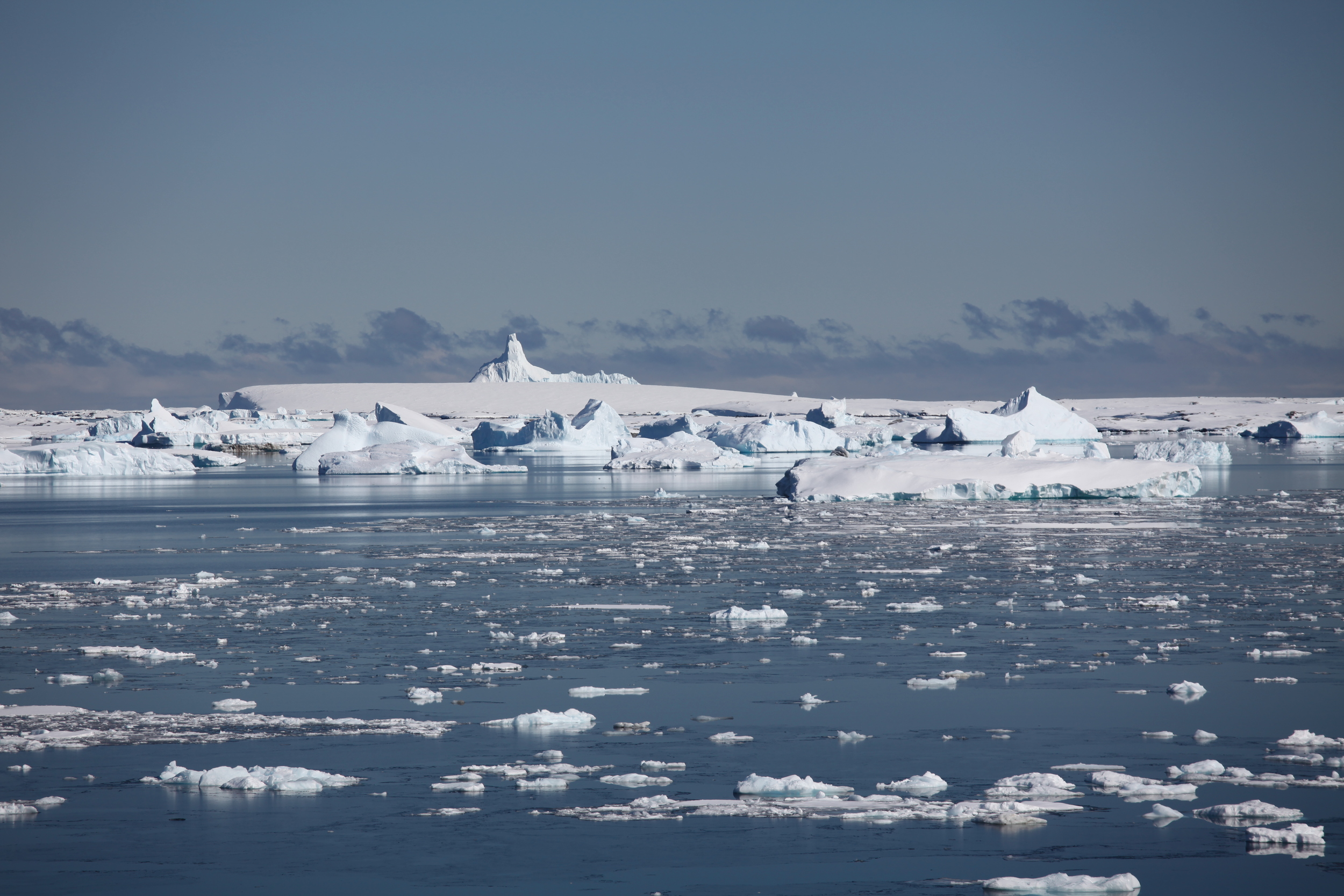 icebergfields.jpg
